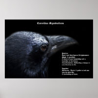 Corvidae Symbolism Poster