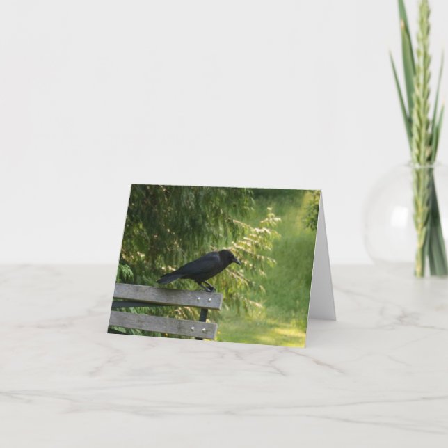 Corvus brachyrhynchos, American Crow Card (Front)