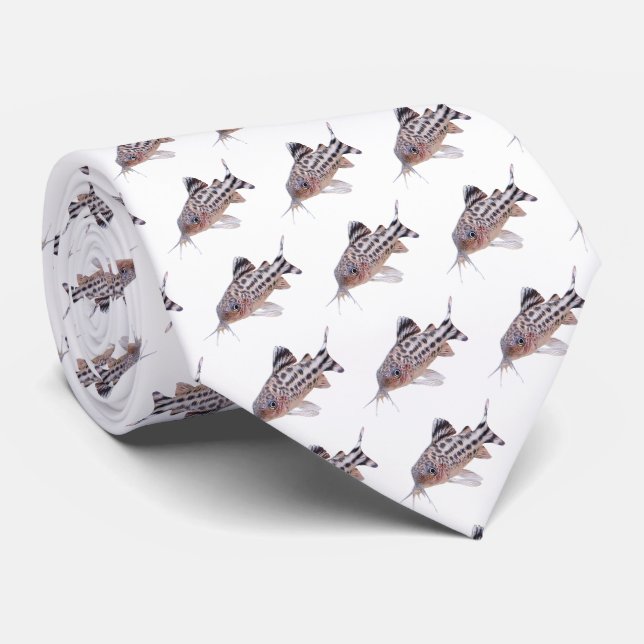 Corydoras robineaeのネクタイ tie (Rolled)