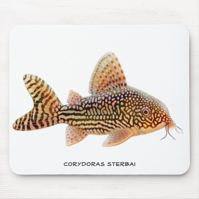 Corydoras Sterbai Catfish Mousepad (Front)