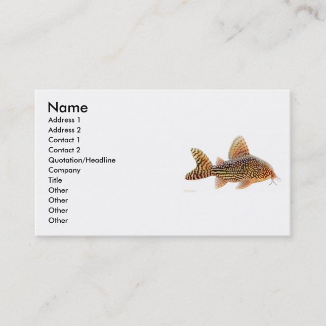 Corydoras Sterbai Catfish Profile Card (Front)