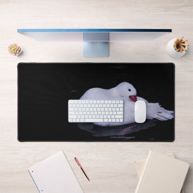 Coscoroba Swan P3442 Desk Mat (Office 1)