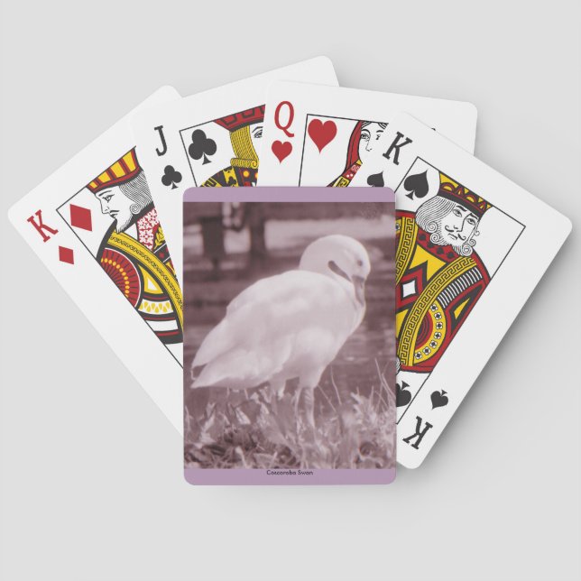 Coscoroba Swan Playing Cards (Back)