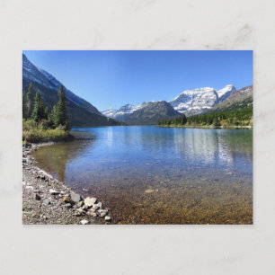 Cosley Lake Outlet - Glacier National Park Postcard