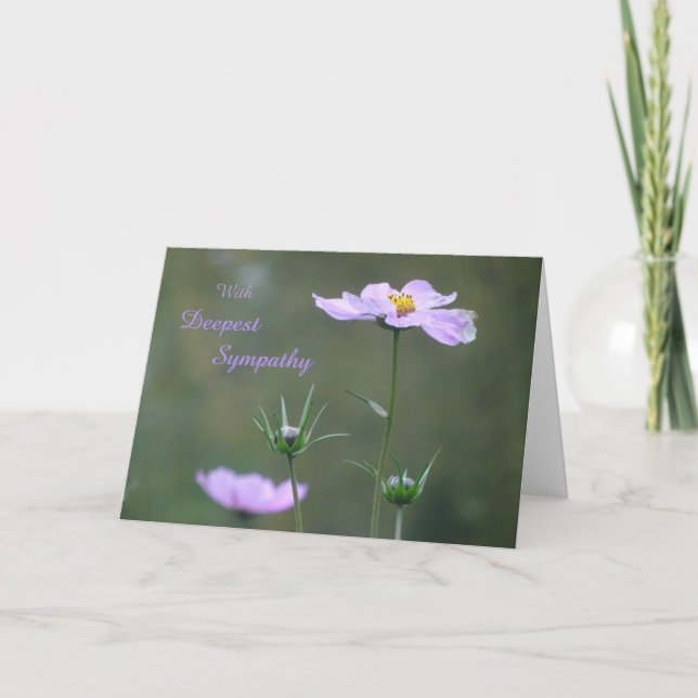Cosmea, Fleurs d'Automne Sauvages Carte de voeux S (Devant)