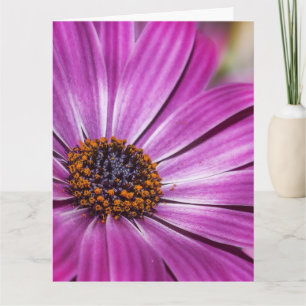COSMEA PURPLE FLOWER BIRTHDAY OVERSIZED CARD