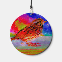 Cosmic Bird Dreamscape Art Print"