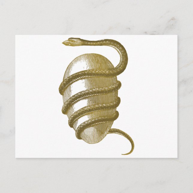 Cosmic egg postcard (Front)