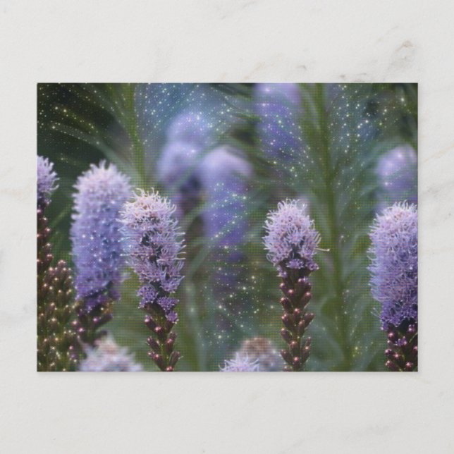 Cosmic Purple Spire Flowers Postcard (Front)