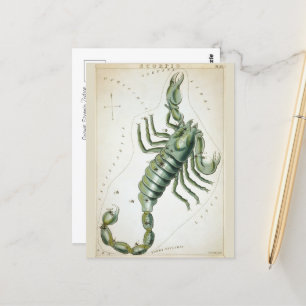 Cosmic Scorpio Zodiac  Postcard