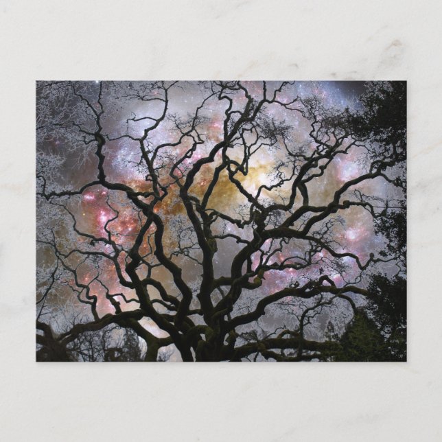 Cosmic Tree - Colliding Galaxies Postcard (Front)