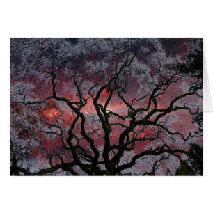 Cosmic Tree - Milky Way Centre