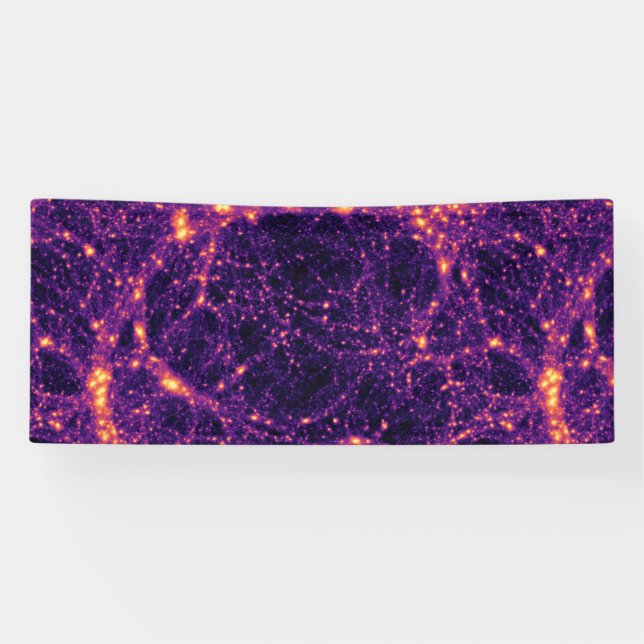 Cosmic Web Banner (Horizontal)