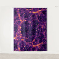 Cosmic Web