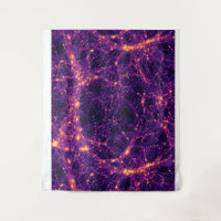 Cosmic Web