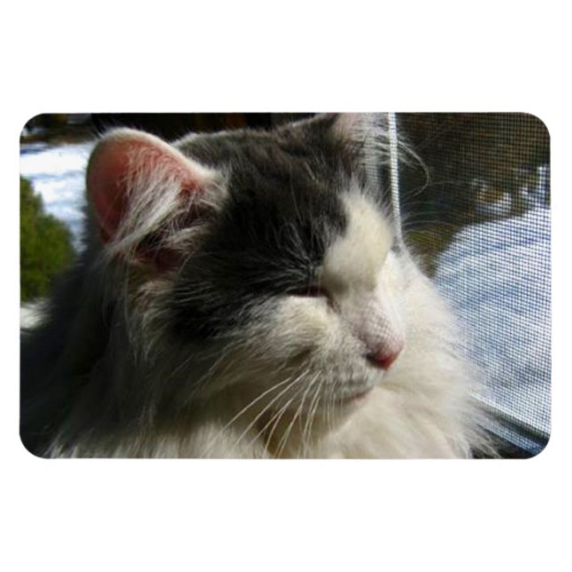 Cosmo 4 X 6 Custom photo magnet (Horizontal)