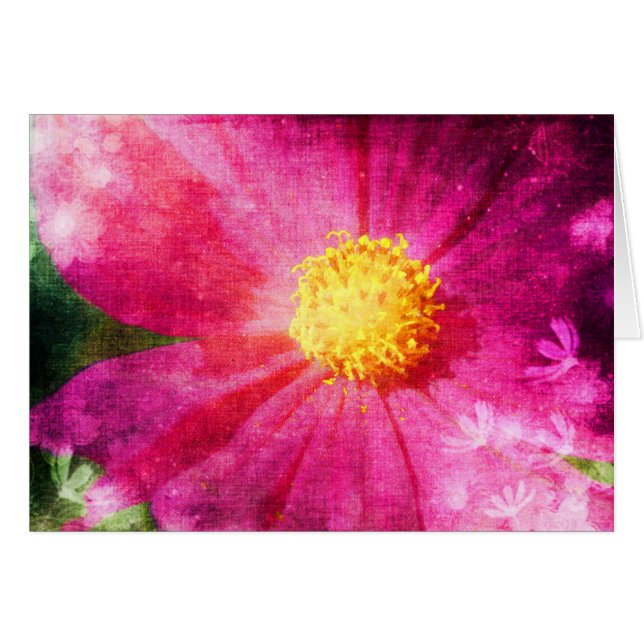 Cosmo Flower (Front Horizontal)