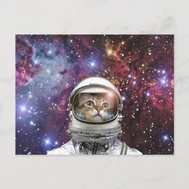 Cosmonaut cat postcard (Front)