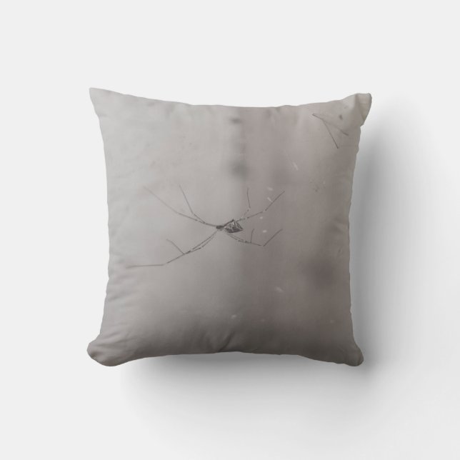 cosmopolitan cellar spider throw pillow (Front)
