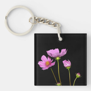 Cosmos à la nuit