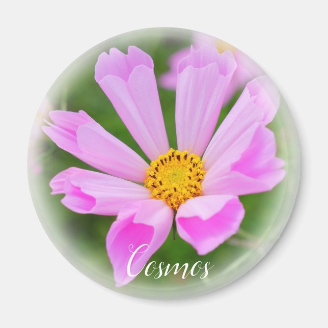 Cosmos aimant (Devant)
