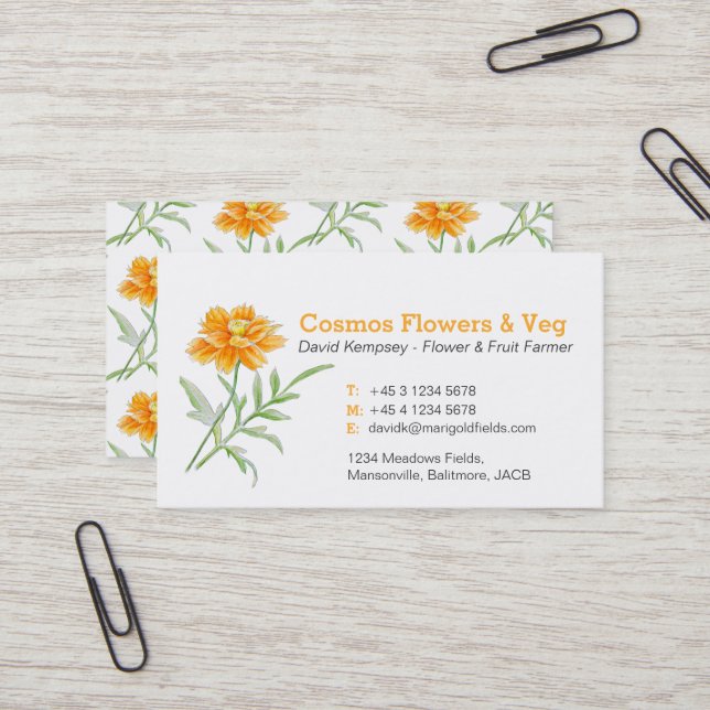 Cosmos aster farmer / flower grower business cards (Front/Back In Situ)