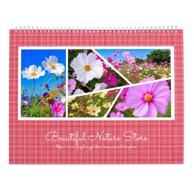 Cosmos Calendar (Back)