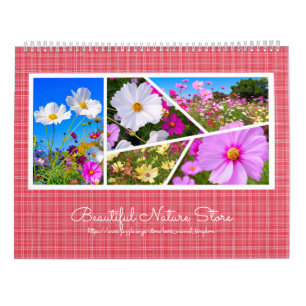 Cosmos Calendar