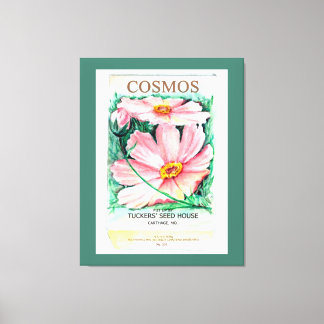 Cosmos Canvas Print