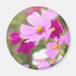 Cosmos [Circle Magnet] Magnet