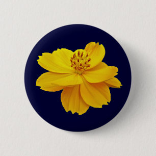 Cosmos (Cosmos sulphureus) Flowers 2 Inch Round Button