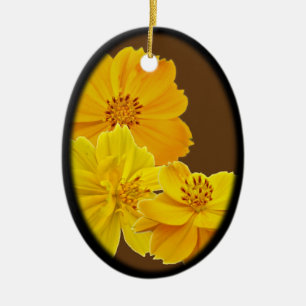 Cosmos (Cosmos sulphureus) Flowers Ornament
