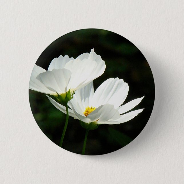 Cosmos Daisy Flowers 2 Inch Round Button (Front)