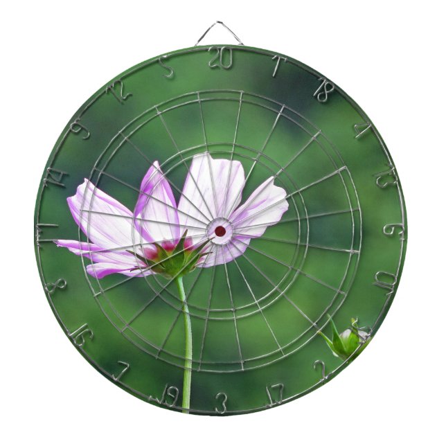 Cosmos Dartboard (Front)