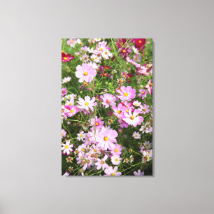 Cosmos Flower (Bidens Formosa). Kirkwood Canvas Print