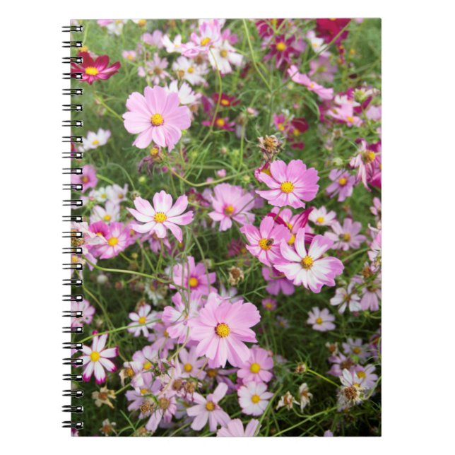 Cosmos Flower (Bidens Formosa). Kirkwood Notebook (Front)