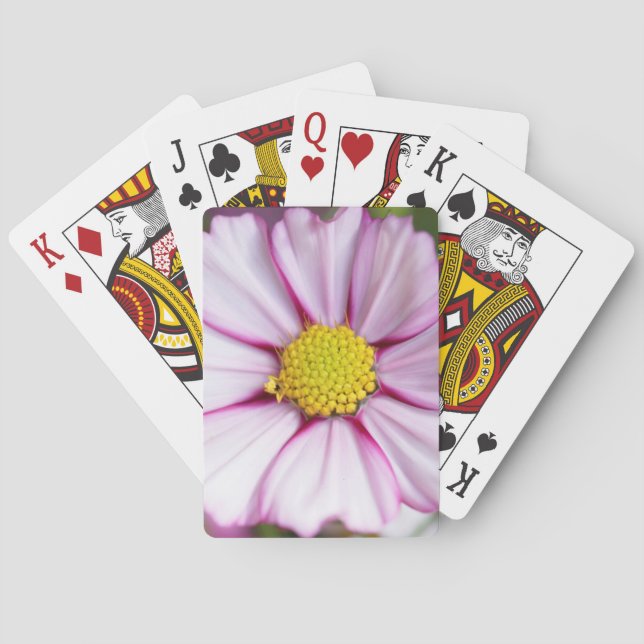Cosmos Flower (bidens formosa) Playing Cards (Back)