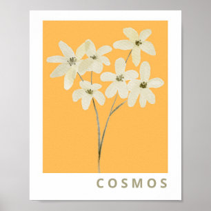Cosmos Flower Botanical 55 Poster