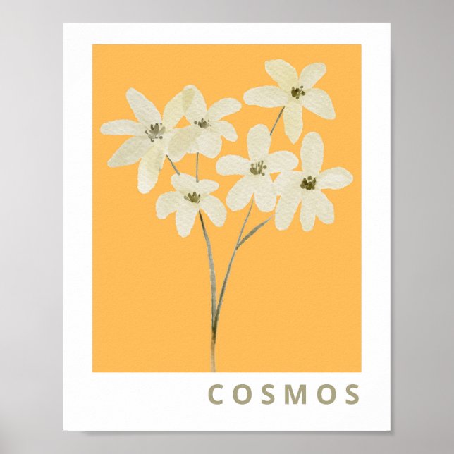 Cosmos Flower Botanical 55 Poster (Front)