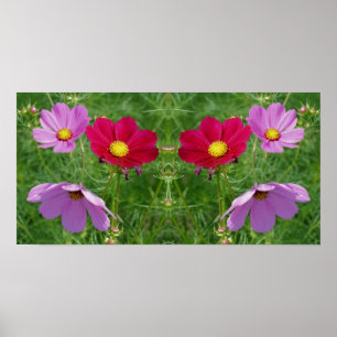 Cosmos Flower Trio Mirror Abstract Poster