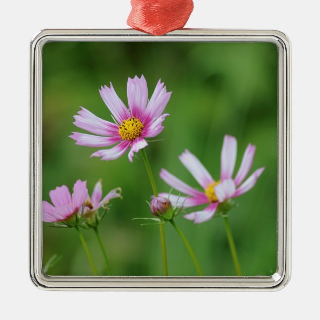 Cosmos Flowers Metal Ornament (Front)