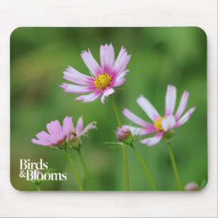 Cosmos Flowers Mouse Pad