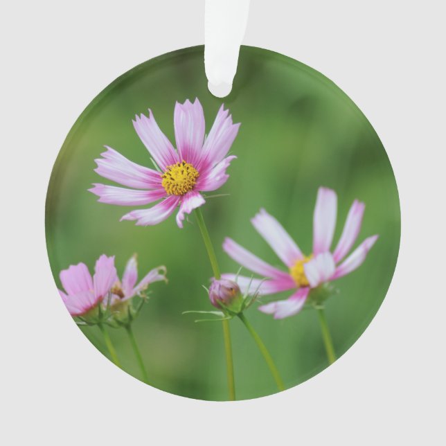 Cosmos Flowers Ornament (Front)