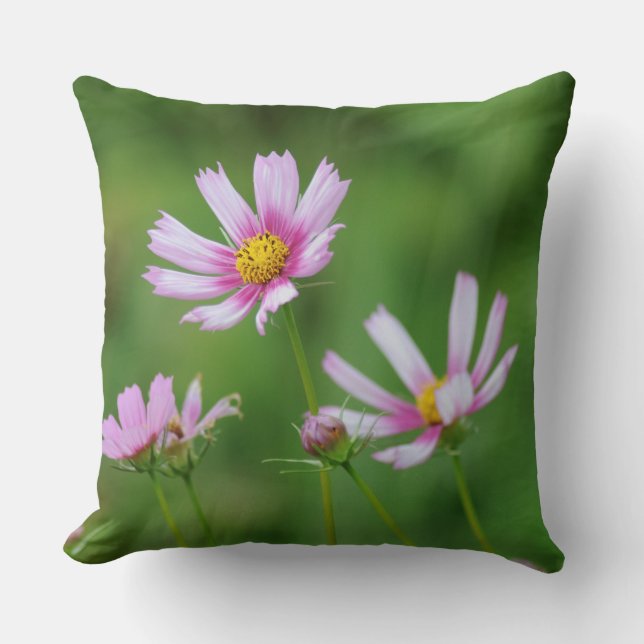 Cosmos Flowers Throw Pillow (Front)
