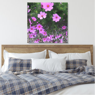 Cosmos flowers with pebbles on a canvas print