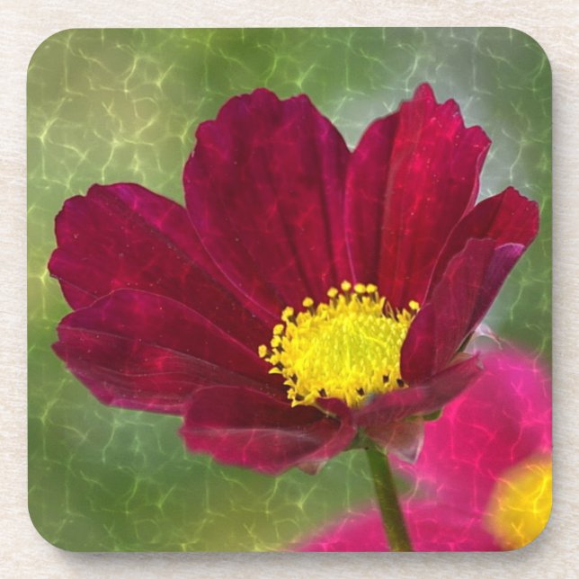 Cosmos Glory Coaster (Front)