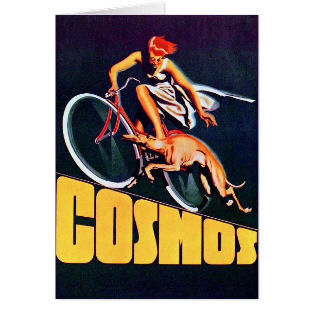 Cosmos Greyhound Bicycle (Front)