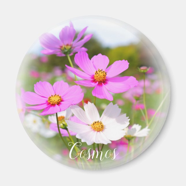 Cosmos Magnet (Front)