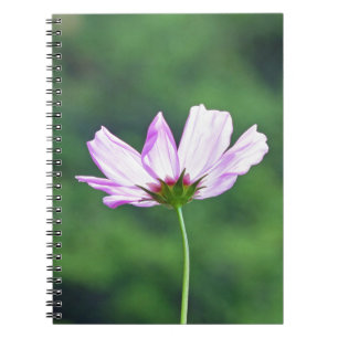 Cosmos Notebook