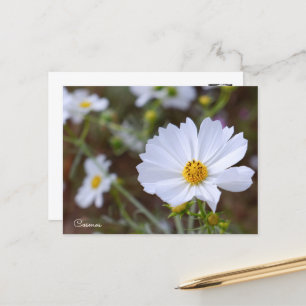 Cosmos Postcard